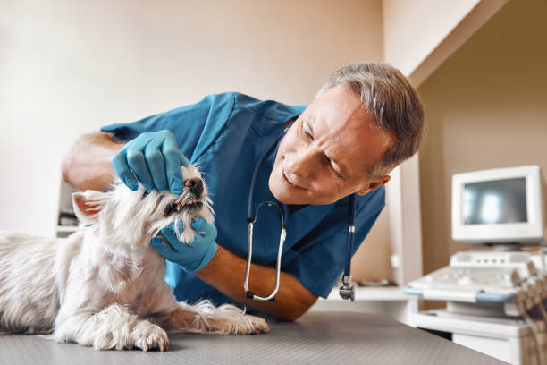 Best Pediatric Emergency Dentist in Clarkston, GA